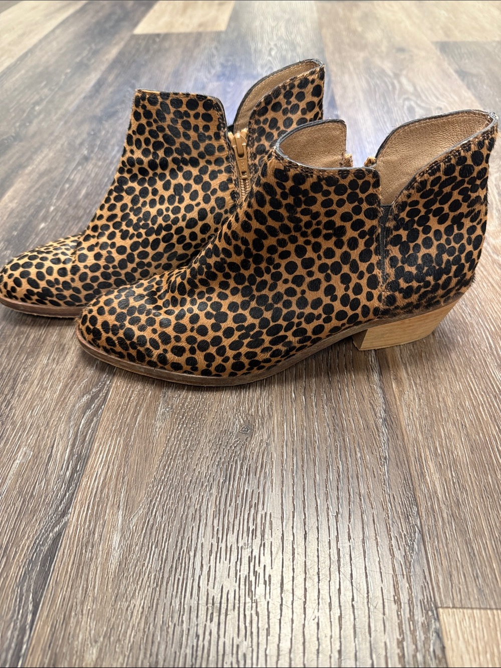 Garnet Hill Leopard Print Ankle Booties in Brown and Black